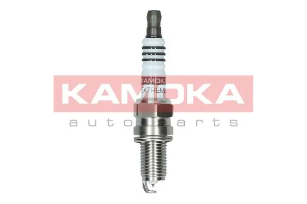Spark Plug 7100048