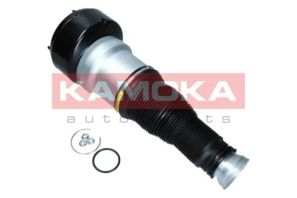 Air Spring, suspension 2079038