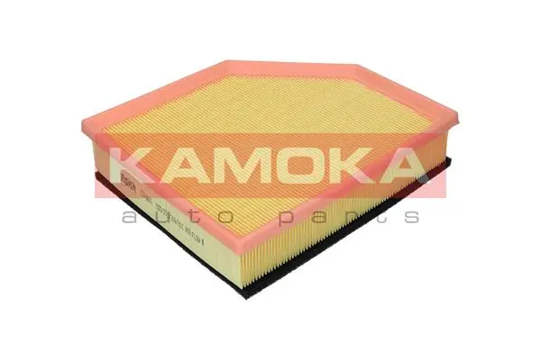 Air Filter F249601