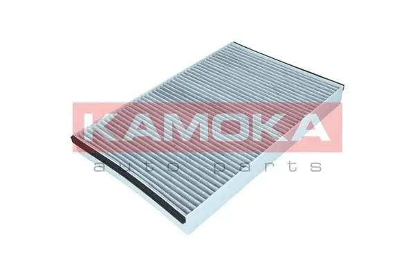 Filter, cabin air F509001