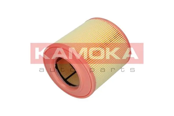 Air Filter F242801