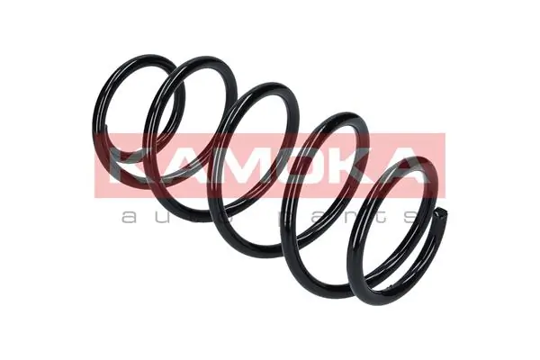 Suspension Spring 2110195