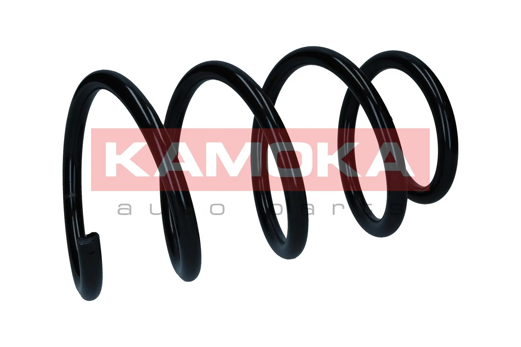 Suspension Spring 2110655