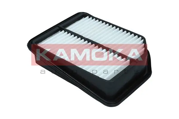 Air Filter F249901