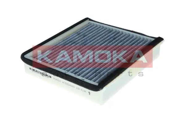 Filter, cabin air F525201