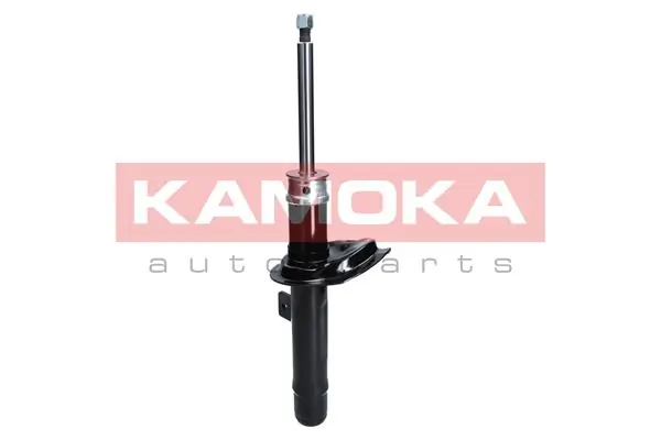 Shock Absorber 2000212