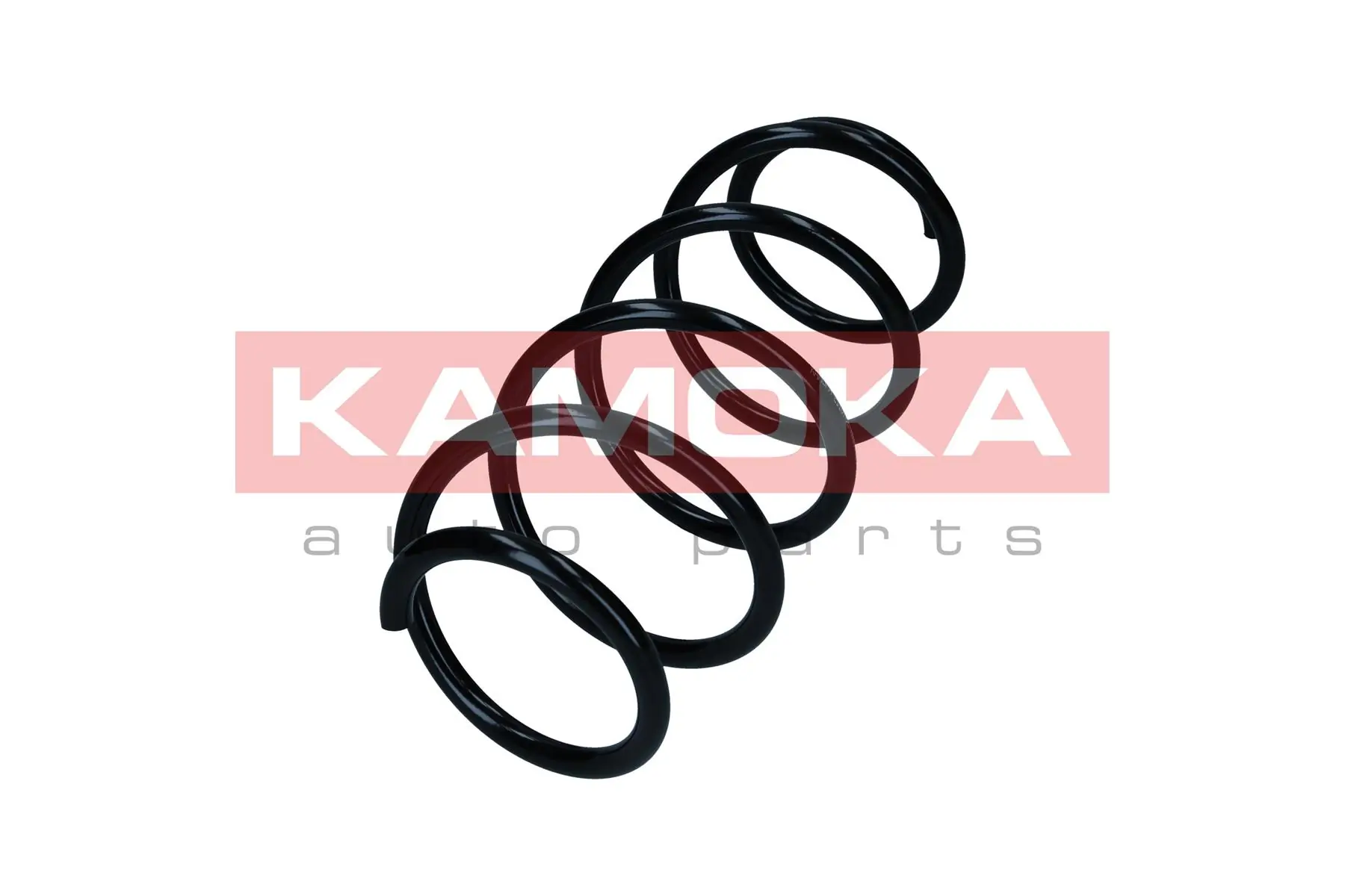 Suspension Spring 2110762