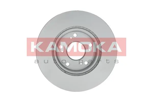 Brake Disc 1031038