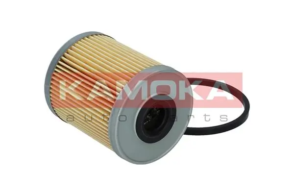 Fuel Filter F308801