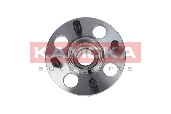 Wheel Bearing Kit 5500018