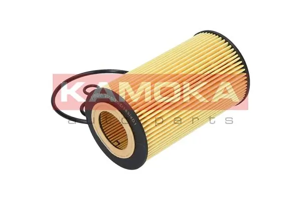Oil Filter F108001