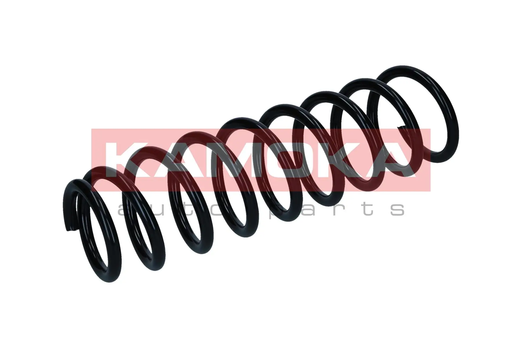 Suspension Spring 2120335