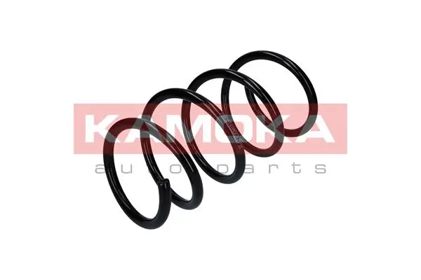 Suspension Spring 2110387