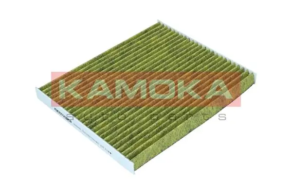 Filter, cabin air 6080099