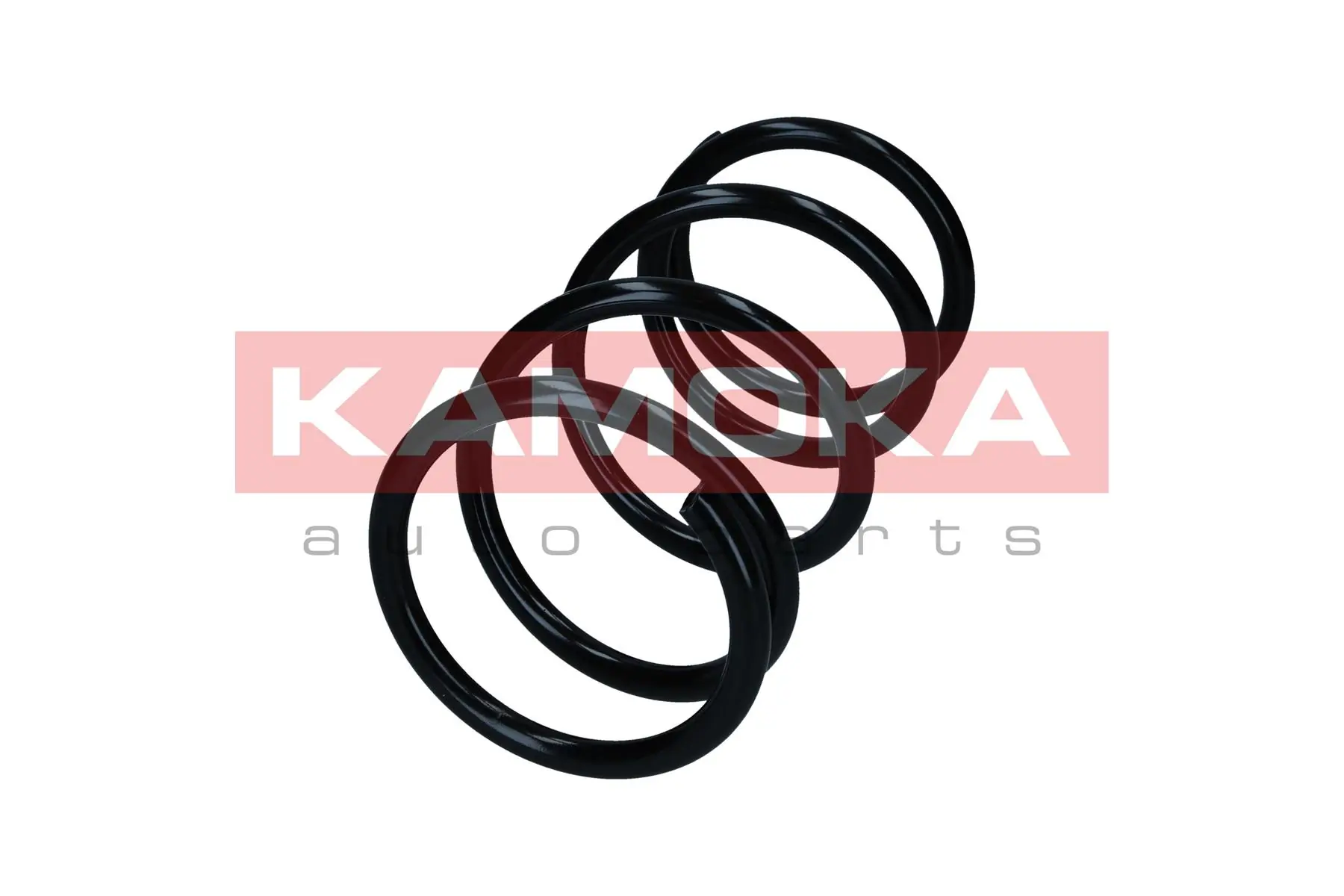 Suspension Spring 2110499