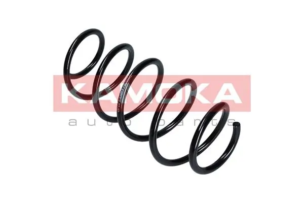 Suspension Spring 2110097