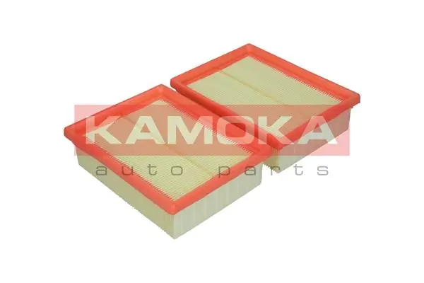Air Filter F209601