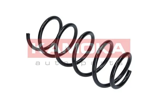 Suspension Spring 2110269