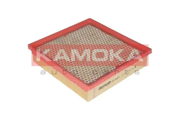 Air Filter F216601