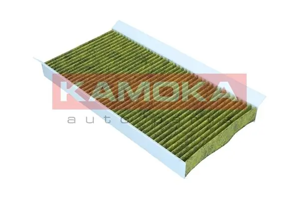 Filter, cabin air 6080005