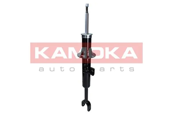 Shock Absorber 2000656