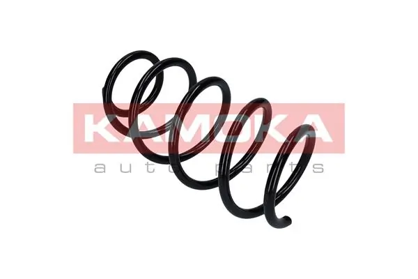 Suspension Spring 2110291