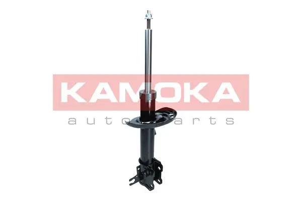 Shock Absorber 2000593