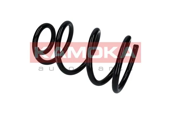 Suspension Spring 2110356