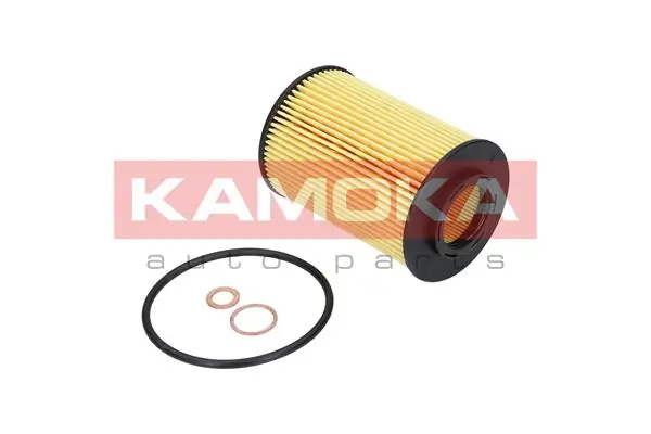 Oil Filter F105401