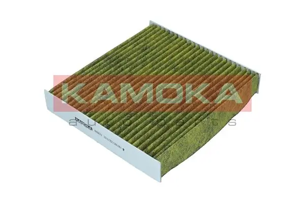 Filter, cabin air 6080079