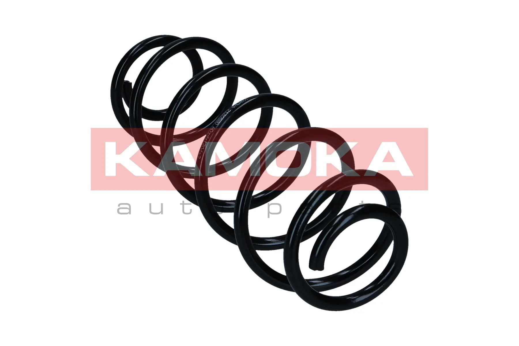 Suspension Spring 2120580