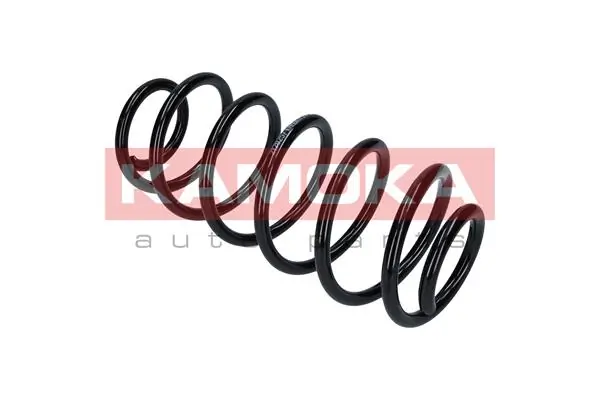 Suspension Spring 2120257