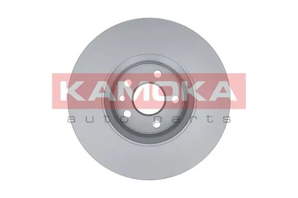 Brake Disc 1033026