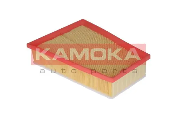Air Filter F234101