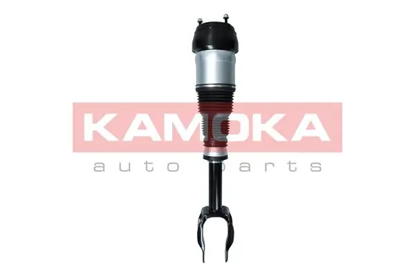 Air Suspension Strut 2070001