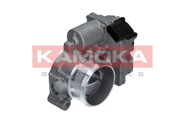 Throttle Body 112013