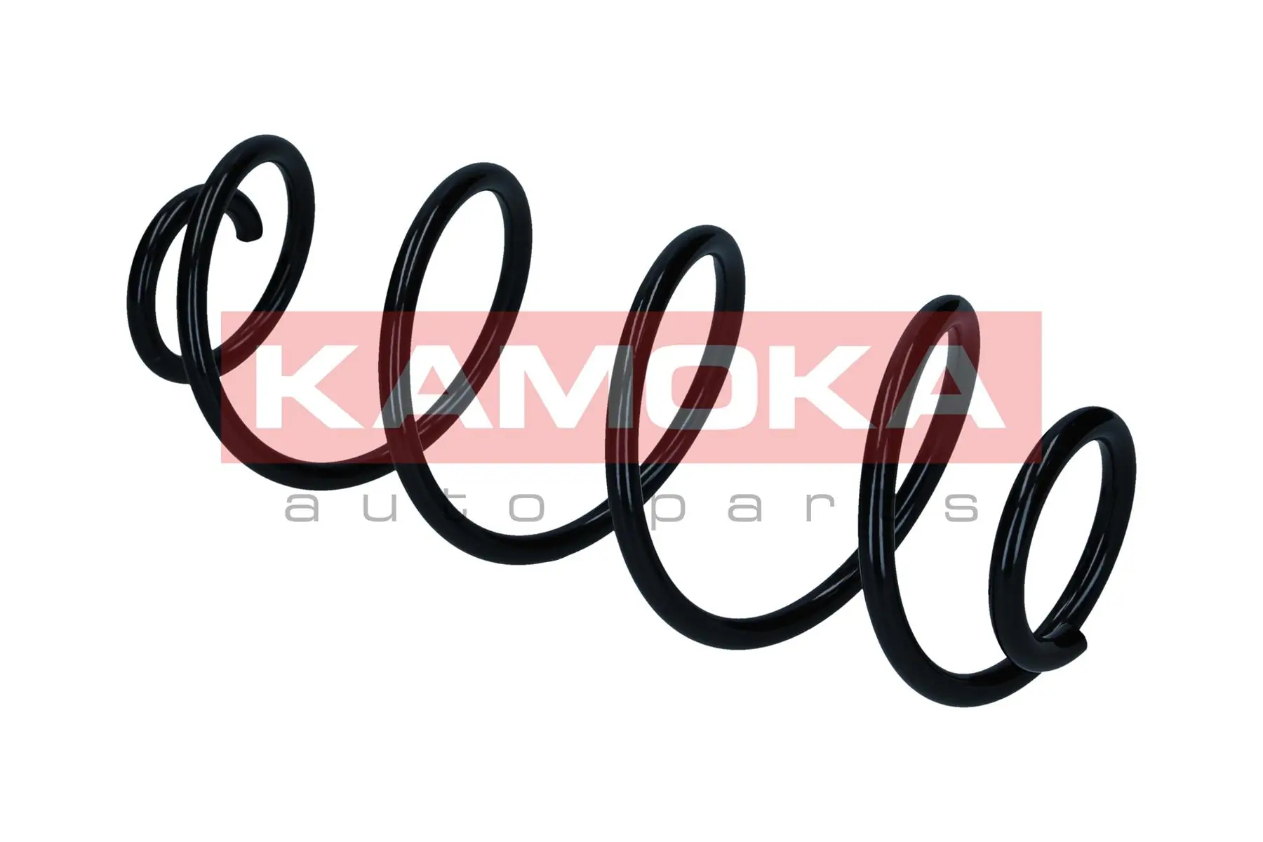 Suspension Spring 2120392