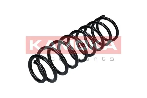 Suspension Spring 2120079