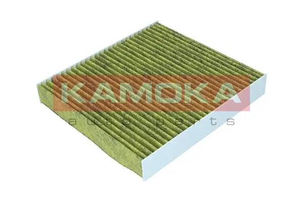 Filter, cabin air 6080091
