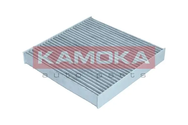 Filter, cabin air F517301