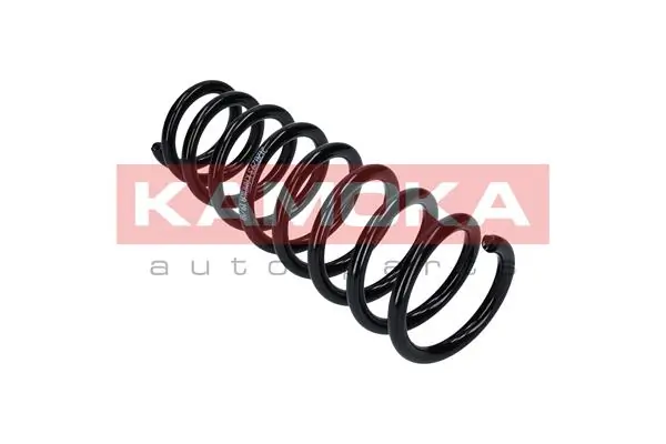 Suspension Spring 2120293