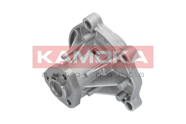 Water Pump, engine cooling T0252