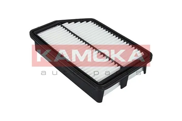 Air Filter F226301