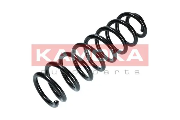 Suspension Spring 2110369