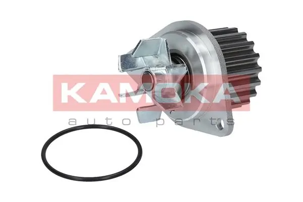Water Pump, engine cooling T0089