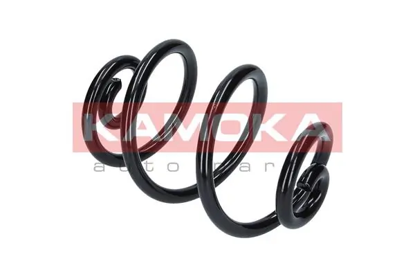 Suspension Spring 2110736