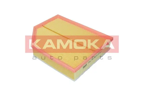 Air Filter F255301