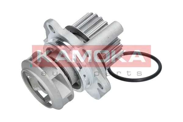 Water Pump, engine cooling T0033