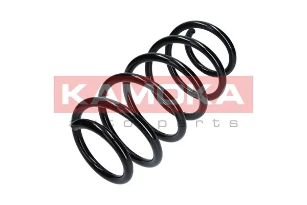 Suspension Spring 2110317