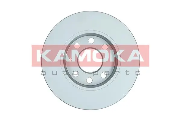Brake Disc 1032258